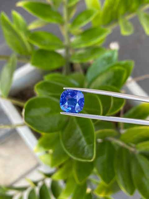 blue sapphire